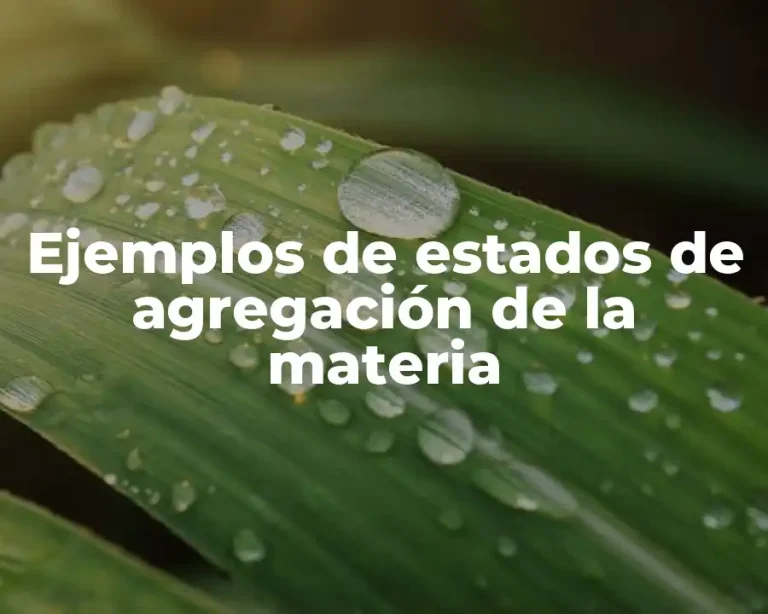 Ejemplos de estados de agregación de la materia