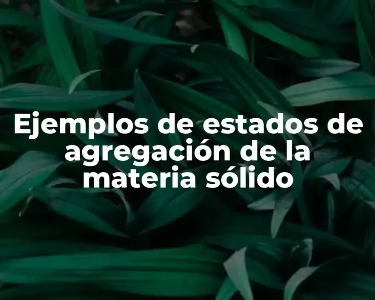 Ejemplos de estados de agregación de la materia sólido