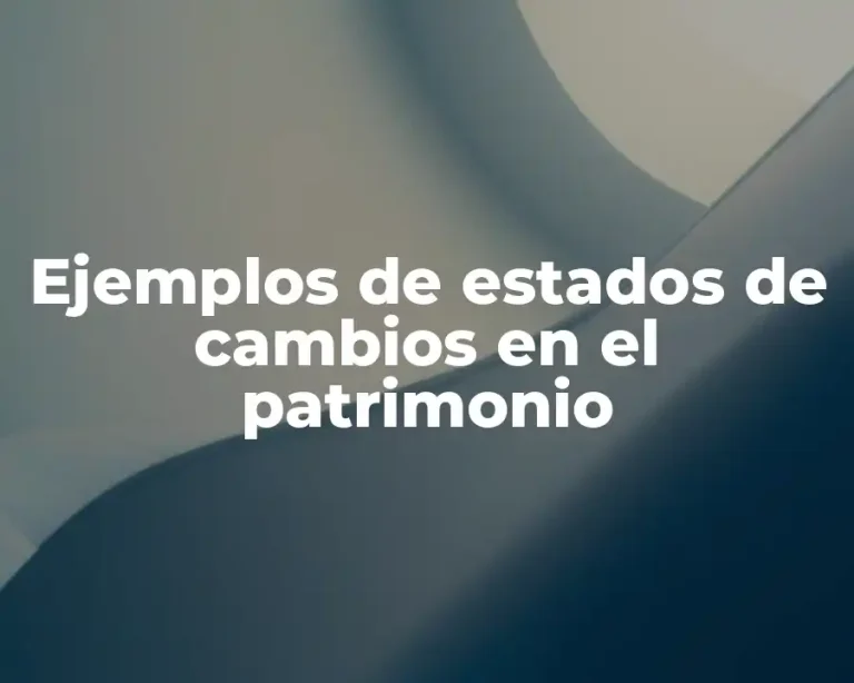 Ejemplos de estados de cambios en el patrimonio