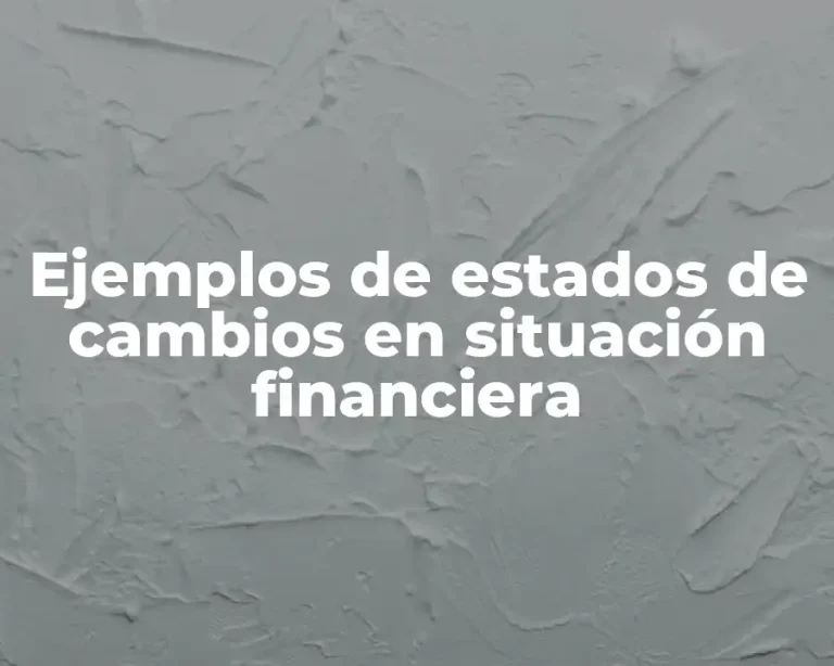 Ejemplos de estados de cambios en situación financiera