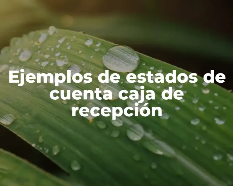 Ejemplos de estados de cuenta caja de recepción