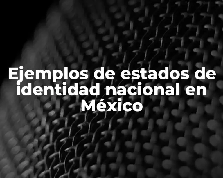 Ejemplos de estados de identidad nacional en México