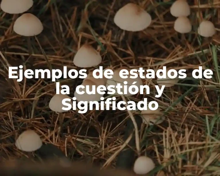 Ejemplos de estados de la cuestión y Significado
