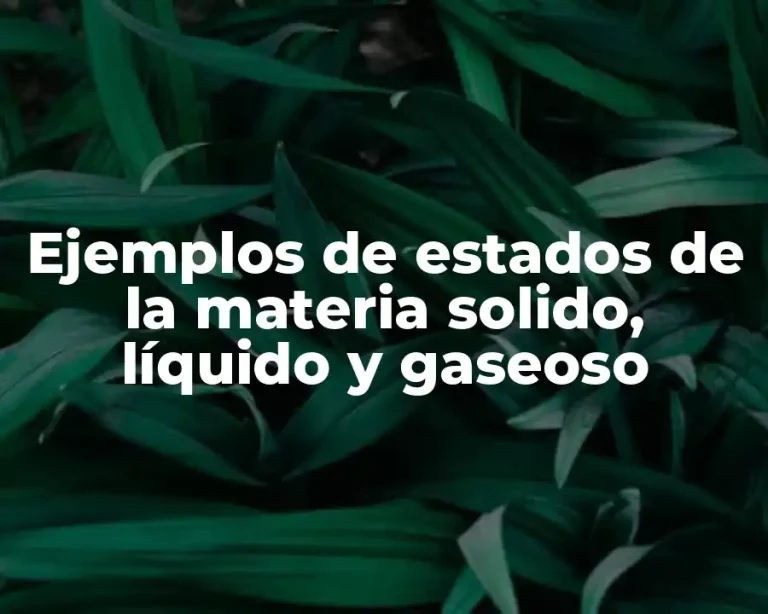 Ejemplos de estados de la materia solido, líquido y gaseoso