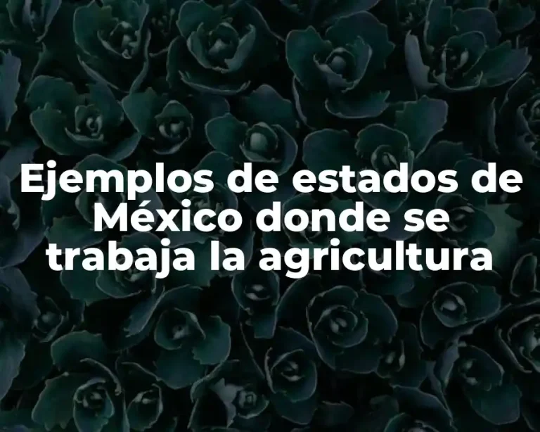 Ejemplos de estados de México donde se trabaja la agricultura