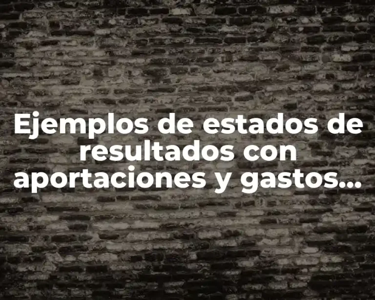 Ejemplos de estados de resultados con aportaciones y gastos financieros