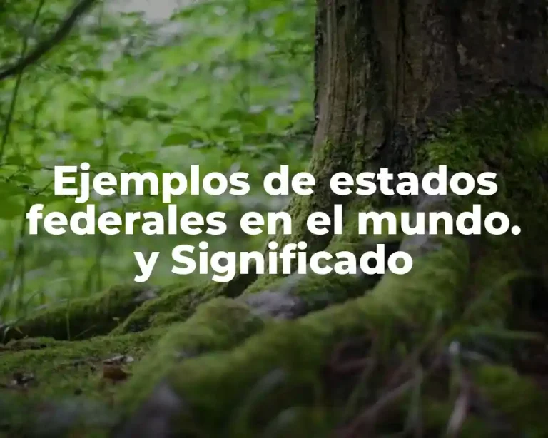 Ejemplos de estados federales en el mundo. y Significado