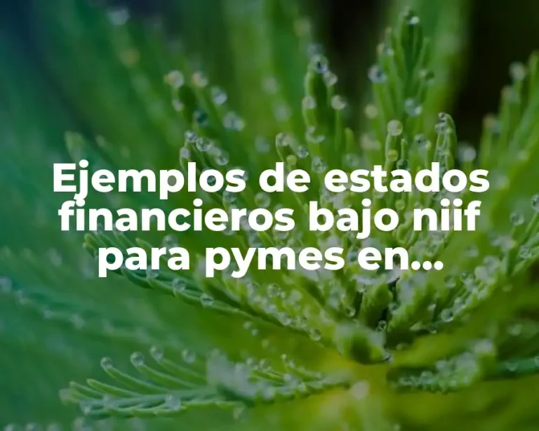 Ejemplos de estados financieros bajo niif para pymes en colombia