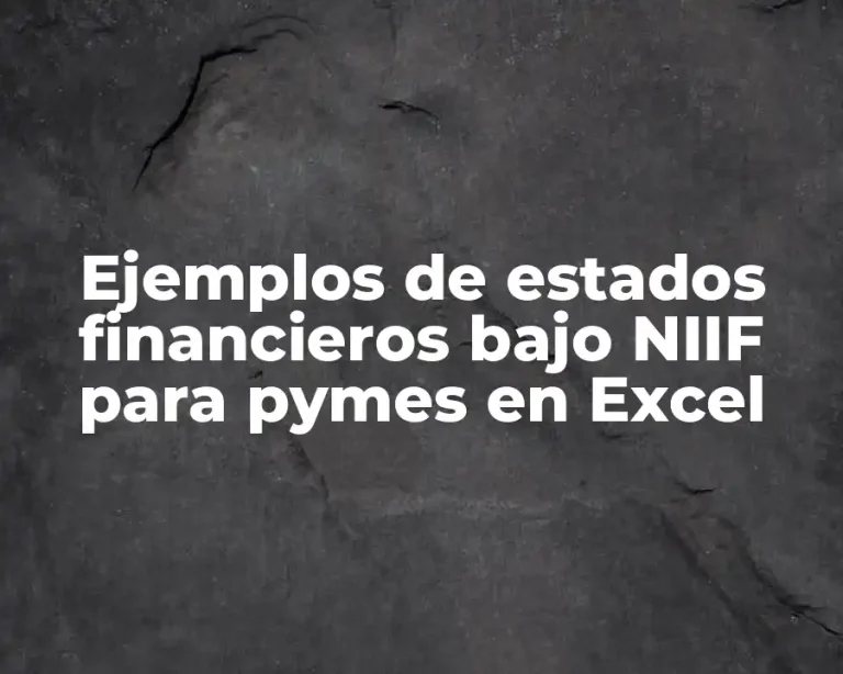Ejemplos de estados financieros bajo NIIF para pymes en Excel