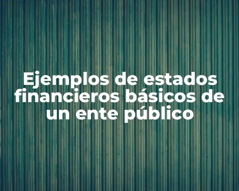 Ejemplos de estados financieros básicos de un ente público
