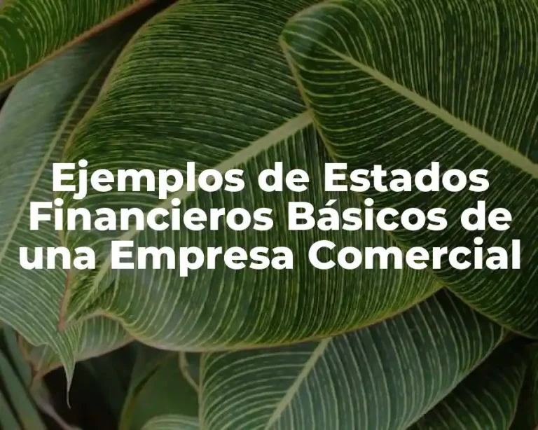 Ejemplos de Estados Financieros Básicos de una Empresa Comercial
