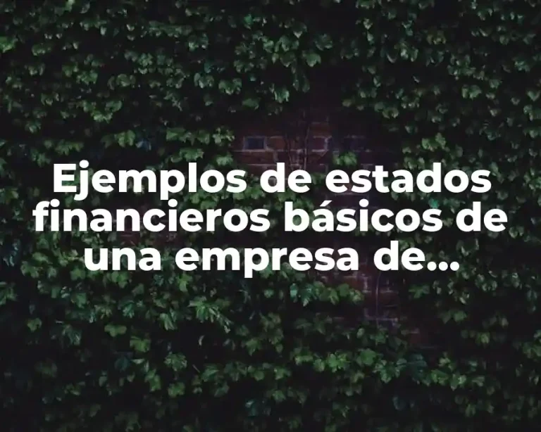 Ejemplos de estados financieros básicos de una empresa de Campeche