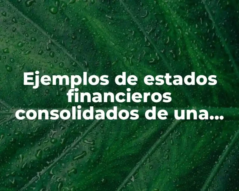 Ejemplos de estados financieros consolidados de una empresa