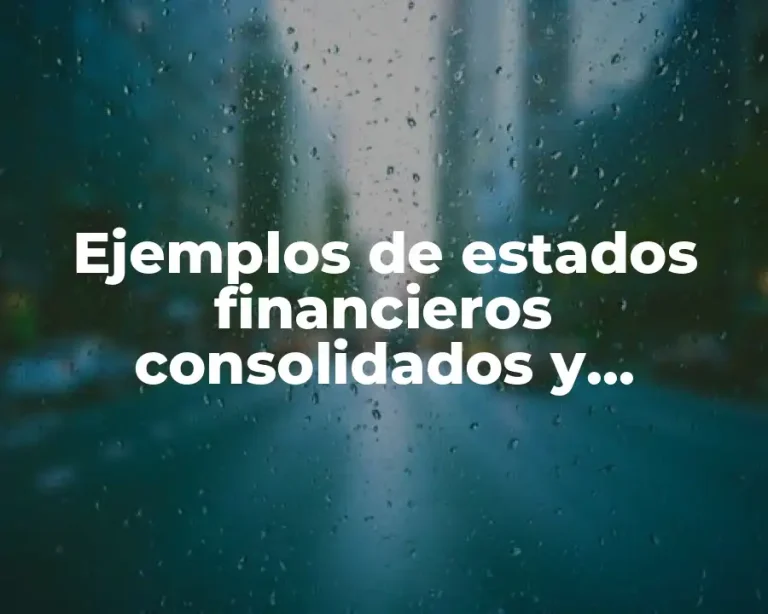 Ejemplos de estados financieros consolidados y separados