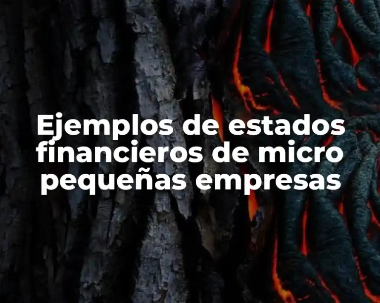 Ejemplos de estados financieros de micro pequeñas empresas