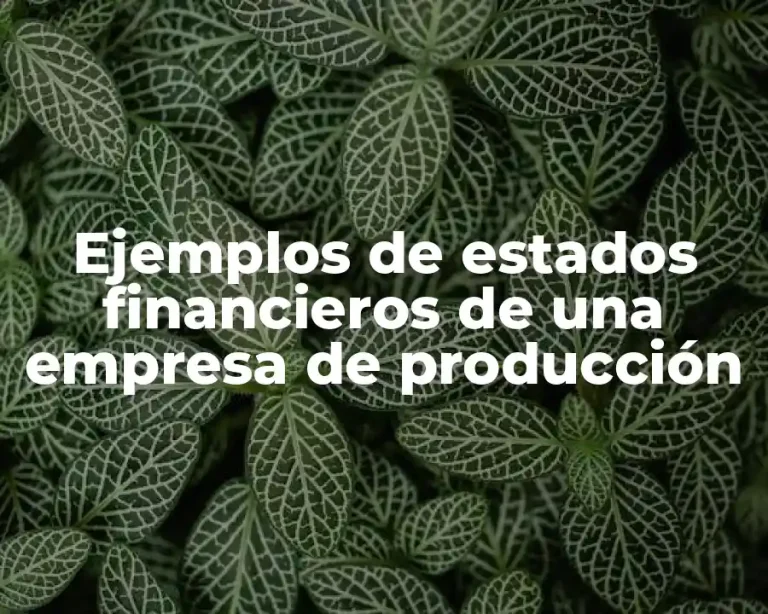Ejemplos de estados financieros de una empresa de producción