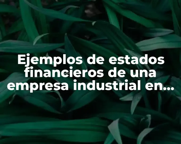 Ejemplos de estados financieros de una empresa industrial en Excel