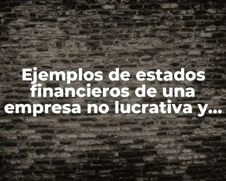 Ejemplos de estados financieros de una empresa no lucrativa y Significado