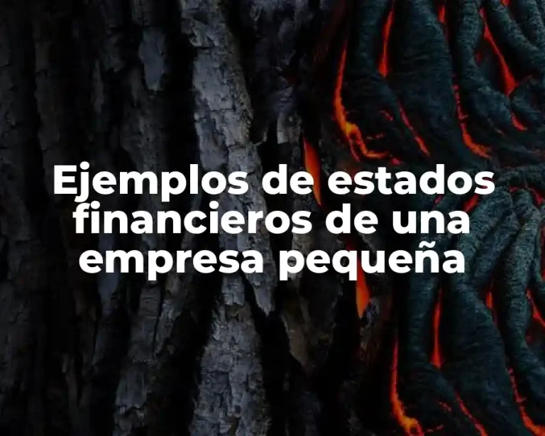 Ejemplos de estados financieros de una empresa pequeña