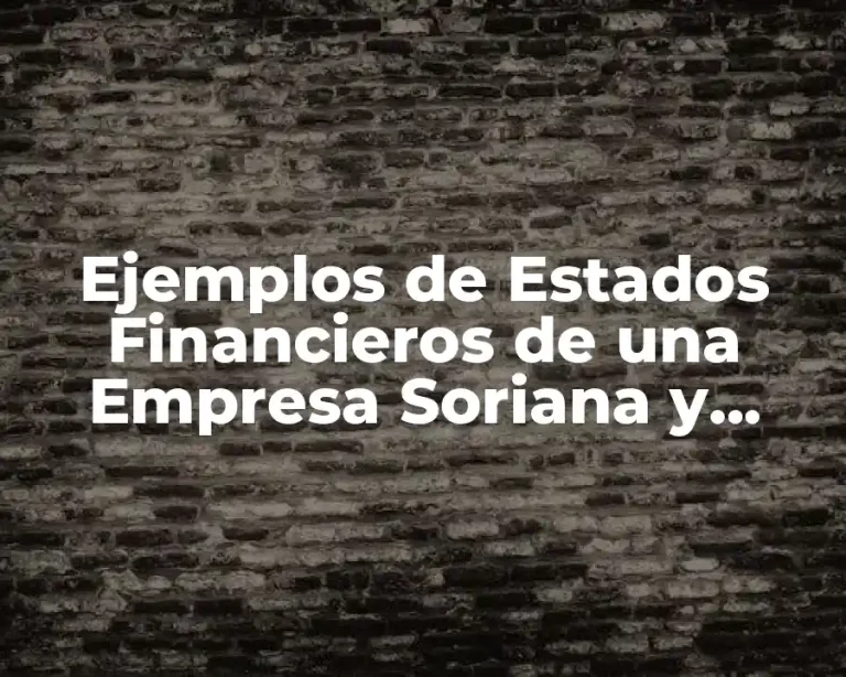Ejemplos de Estados Financieros de una Empresa Soriana y Significado