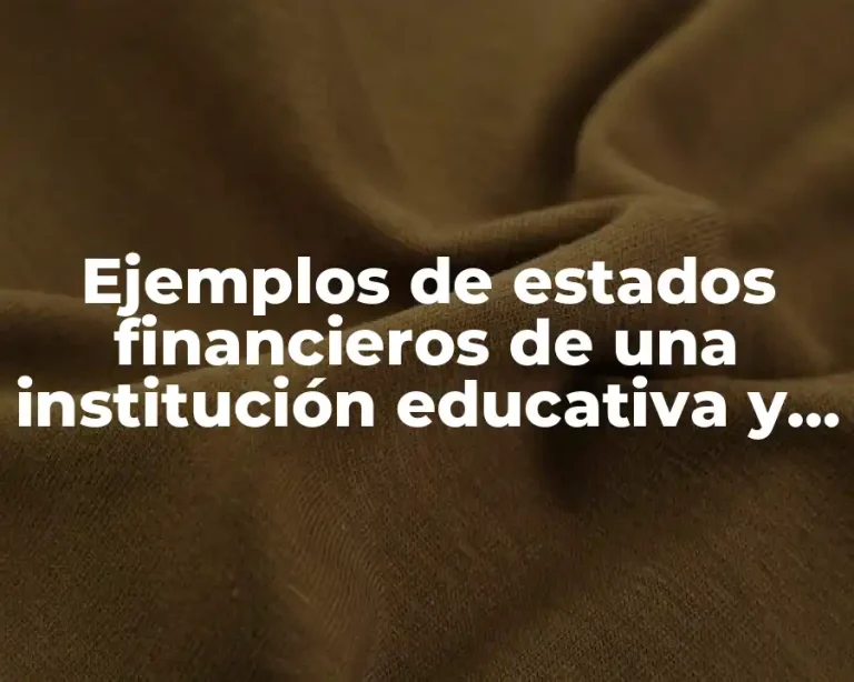 Ejemplos de estados financieros de una institución educativa y Significado