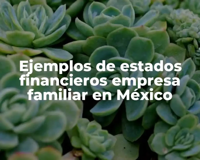 Ejemplos de estados financieros empresa familiar en México