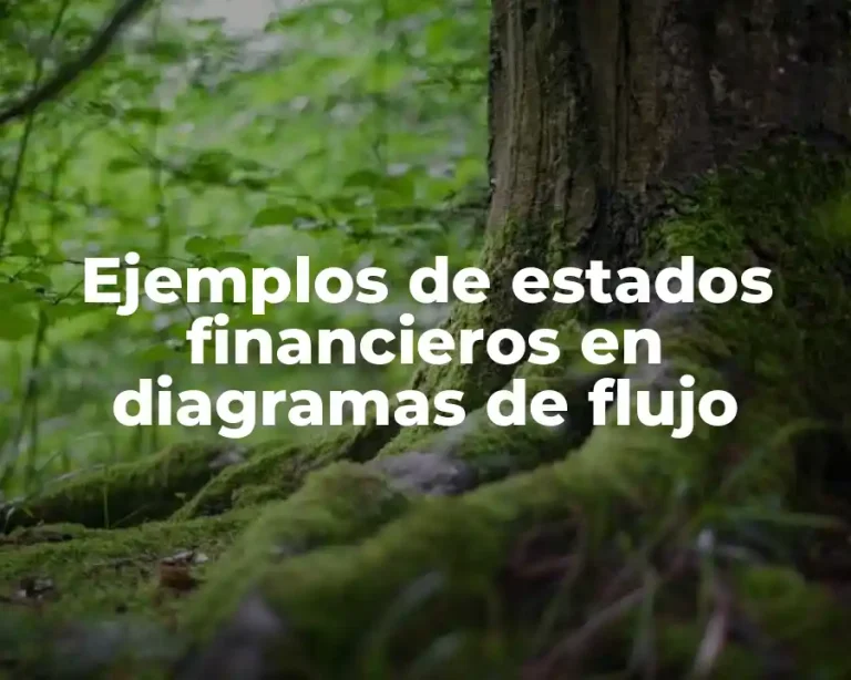 Ejemplos de estados financieros en diagramas de flujo