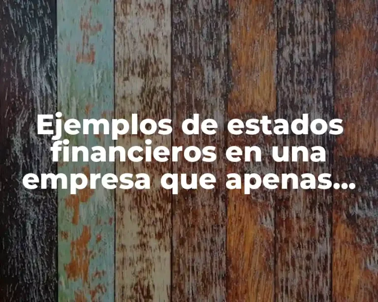 Ejemplos de estados financieros en una empresa que apenas empieza