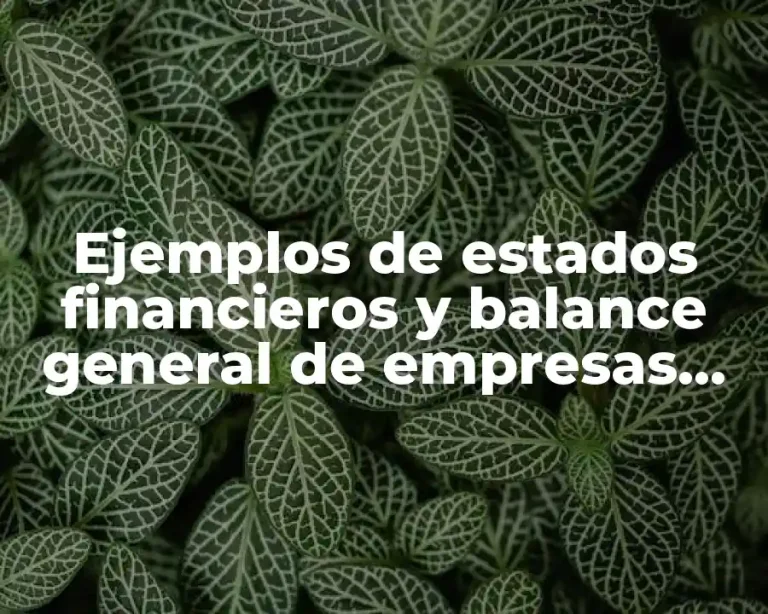 Ejemplos de estados financieros y balance general de empresas industriales