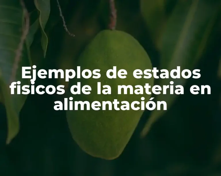 Ejemplos de estados fisicos de la materia en alimentación