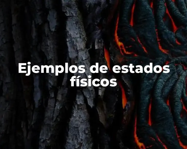 Ejemplos de estados físicos