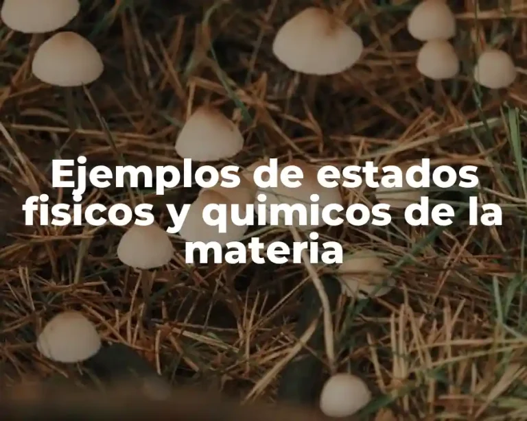 Ejemplos de estados fisicos y quimicos de la materia