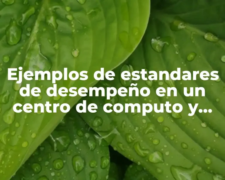 Ejemplos de estandares de desempeño en un centro de computo y Significado