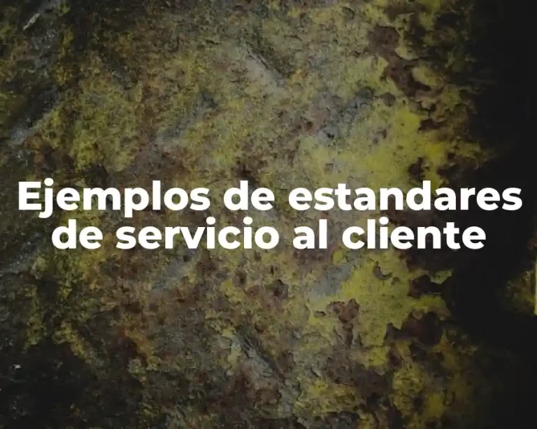 Ejemplos de estandares de servicio al cliente