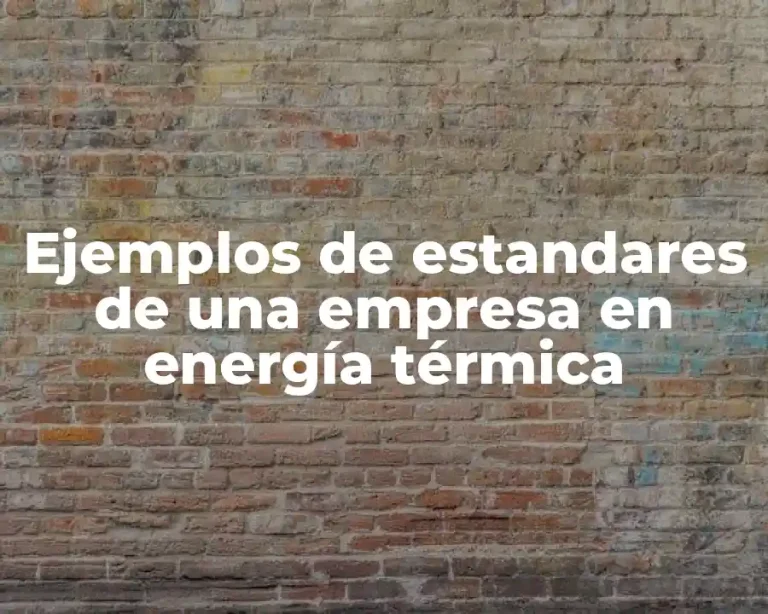 Ejemplos de estandares de una empresa en energía térmica