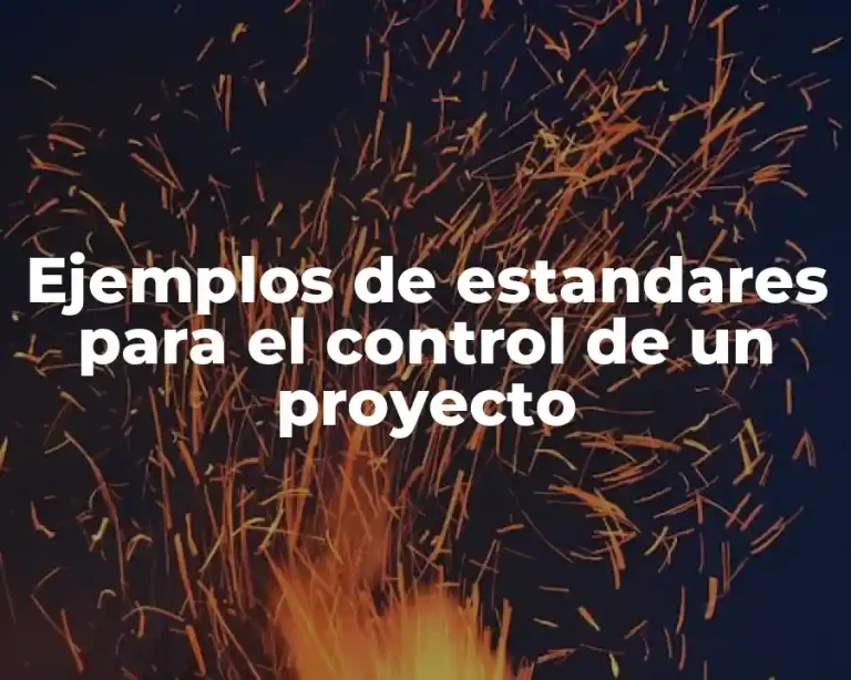 Ejemplos de estandares para el control de un proyecto