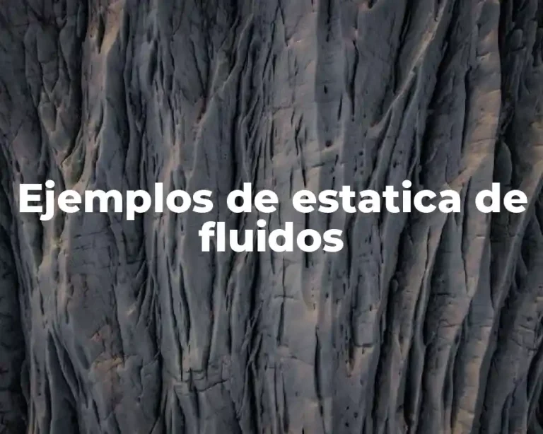 Ejemplos de estatica de fluidos