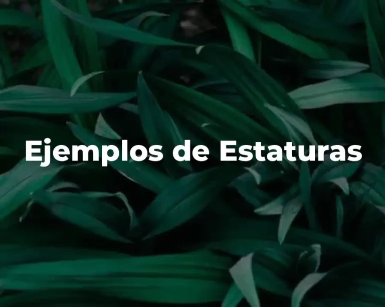 Ejemplos de Estaturas