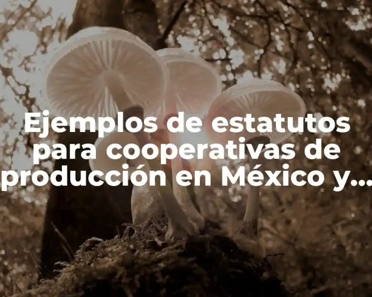 Ejemplos de estatutos para cooperativas de producción en México y Significado