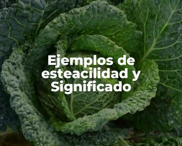 Ejemplos de esteacilidad y Significado