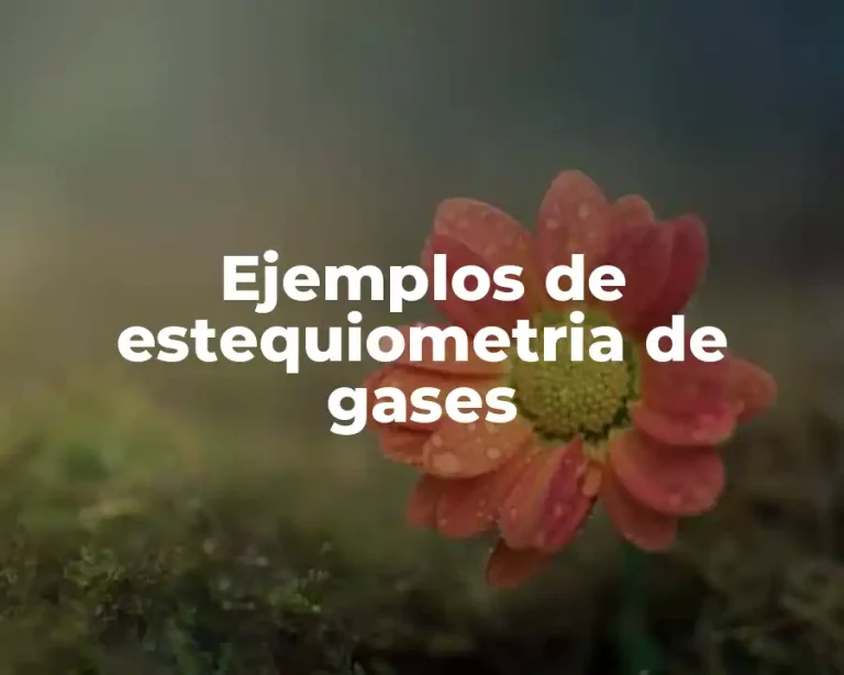Ejemplos de estequiometria de gases
