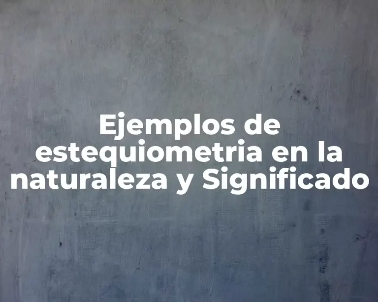 Ejemplos de estequiometria en la naturaleza y Significado