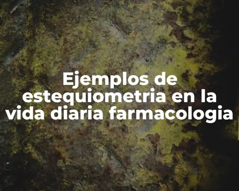 Ejemplos de estequiometria en la vida diaria farmacologia