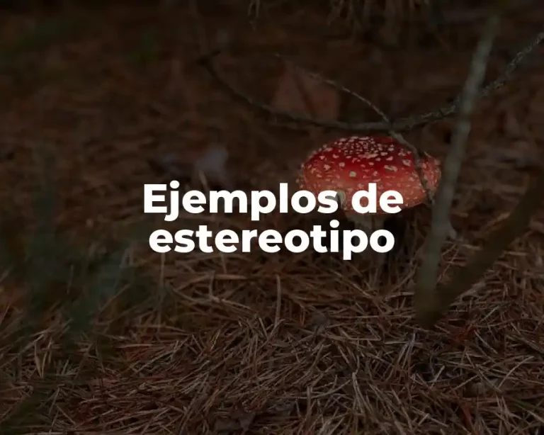 Ejemplos de estereotipo