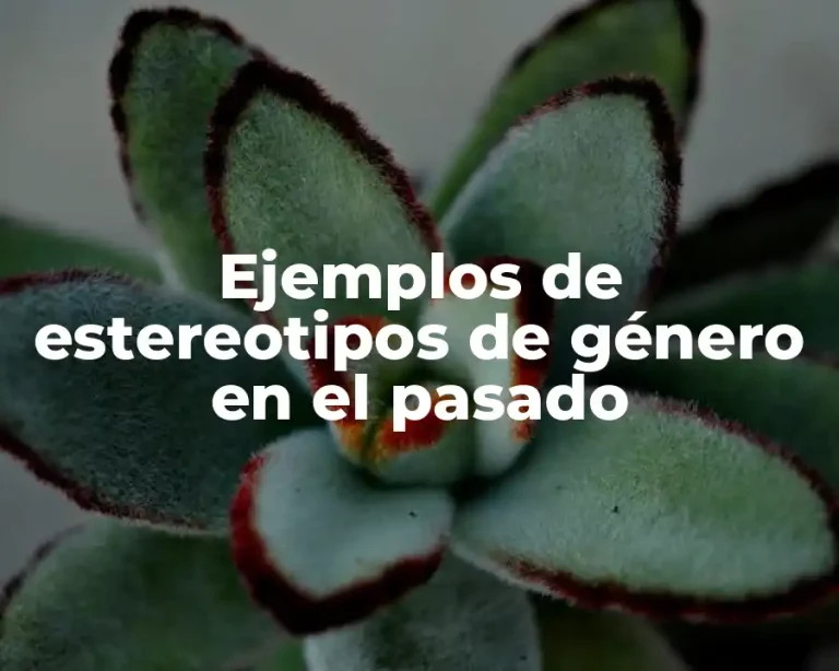 Ejemplos de estereotipos de género en el pasado