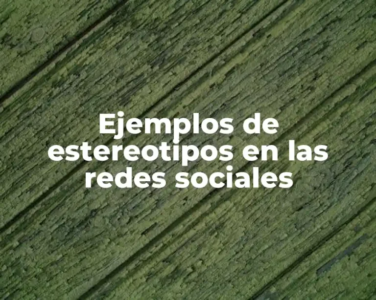 Ejemplos de estereotipos en las redes sociales