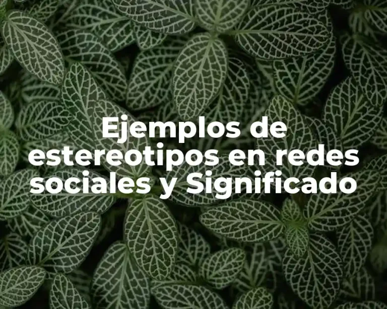 Ejemplos de estereotipos en redes sociales y Significado
