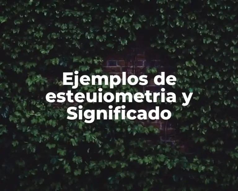 Ejemplos de esteuiometria y Significado