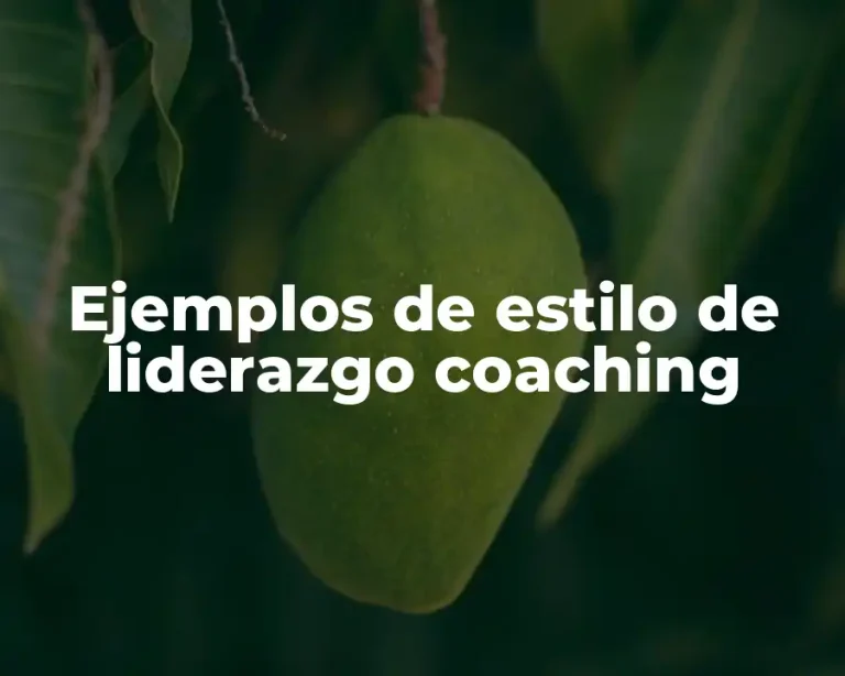 Ejemplos de estilo de liderazgo coaching