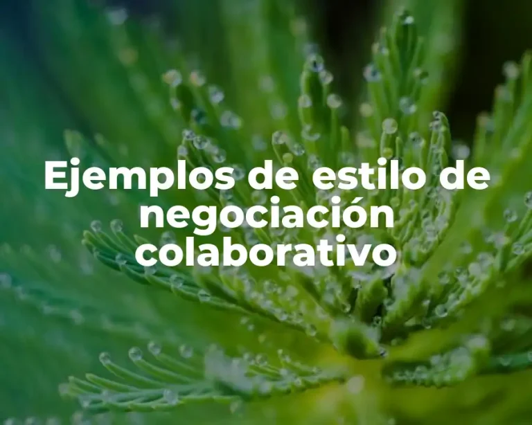 Ejemplos de estilo de negociación colaborativo